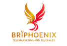 logo briphoenix
